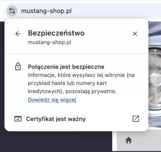 Robot czyszczący - 3